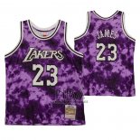 Camiseta Los Angeles Laker Lebron James NO 23 Galaxy Violeta