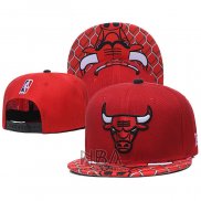 Gorra Chicago Bulls Rojo2